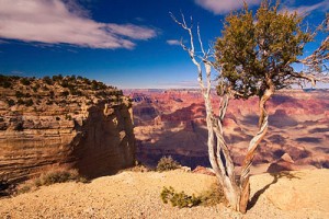 grandcanyon-thumb