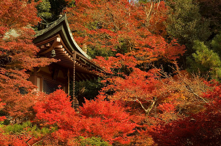 Bishamondo, Yamashina, Kyoto.